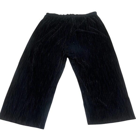 Silense + Noise Casual Pants Womens Size L Black Pleated Wide-Leg Pull-On - Picture 5 of 8